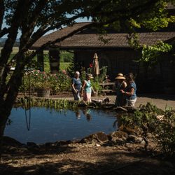 Yamhill Valley Vineyards