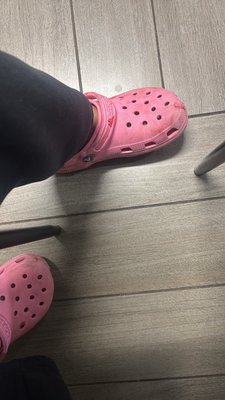 Atlanta Humane Society by null