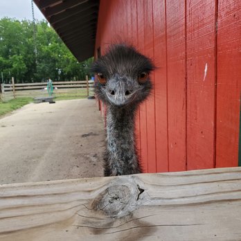 Bluebird Gap Farm - Parks Near Me - Hampton, Virginia