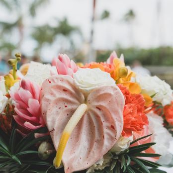 Hala Tropical Flowers - Florists Near Me