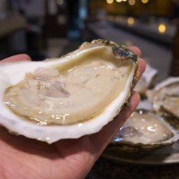 This oyster is as big as my hand.