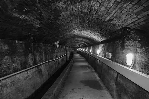 Pistoia Sotterranea by null