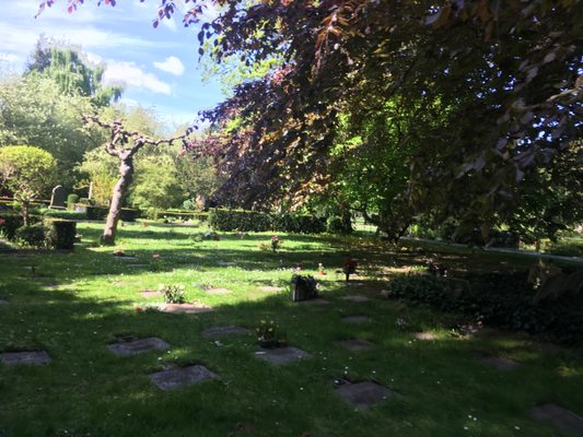 Assistens Cemetery by null