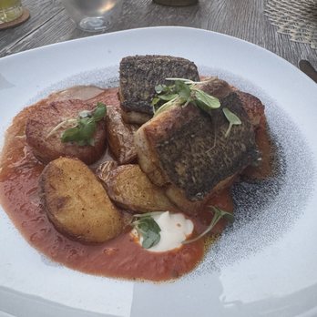 HāLani - Kanpachi with U10 scallops and fingerling potatoes over sofrito (special, $62, September 2024) - Cocktail Bars Near Me - Waimea, Hawaii HāLani - Kanpachi with U10 scallops and fingerling potatoes over sofrito (special, $62, September 2024) - Cocktail Bars Near Me - Waimea, Hawaii