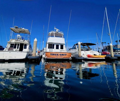 Channel Islands Kayak Center by null