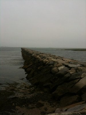 Long Point Beach by null