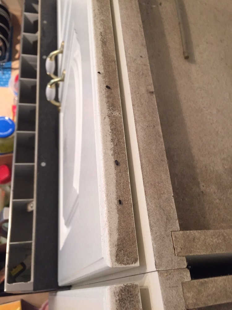 Valley Of The Sun Real Estate & Property Management - property management company in Chandler, AZ