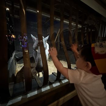 Medieval Times - Horse - Dinner Theater Near Me - Buena Park, California Medieval Times - Horse - Dinner Theater Near Me - Buena Park, California