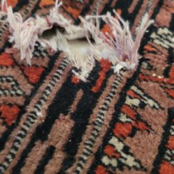 Shaia Oriental Rugs of Williamsburg in Williamsburg gift card