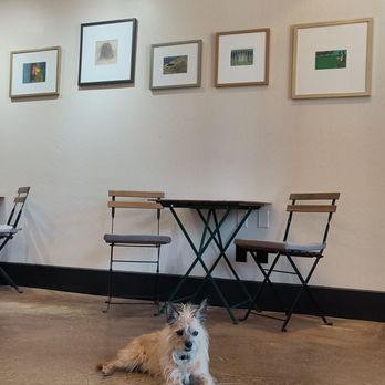 Allegorie - Wine Tasting Room Near Me - Murphys, California