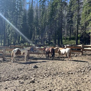 Drakesbad Guest Ranch - Horses stable - Fishing Near Me - Chester, California