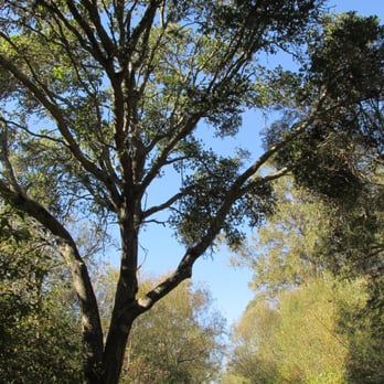 Tilden Regional Park - Parks Near Me - Berkeley, California