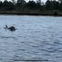 Photo of Destin Sailing Adventures