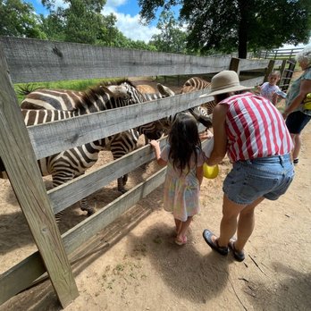 Chestatee Wild Life Preserve - Zoos Near Me - Dahlonega, Georgia