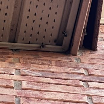 EcoShield Pest Solutions - Missed - Pest Control Near Me - Austin, Texas