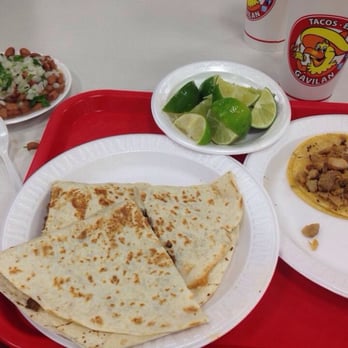 Tacos Gavilan - Quesidilla and tacos! - Mexican Near Me - Downey, California Tacos Gavilan - Quesidilla and tacos! - Mexican Near Me - Downey, California