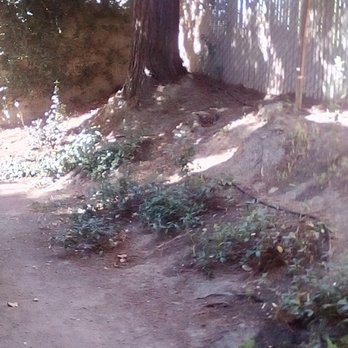 Emerald Green Landscape Services - Out side my front door, request for cleanup, 9/15/2017 - Landscaping Near Me - Sacramento, California Emerald Green Landscape Services - Out side my front door, request for cleanup, 9/15/2017 - Landscaping Near Me - Sacramento, California
