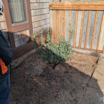 Three Brothers Tree Service - Tree Services Near Me Three Brothers Tree Service - Tree Services Near Me
