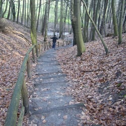 Moorbad - Spazierwege, Treppen nach oben oder unten, rund um das Moorbad