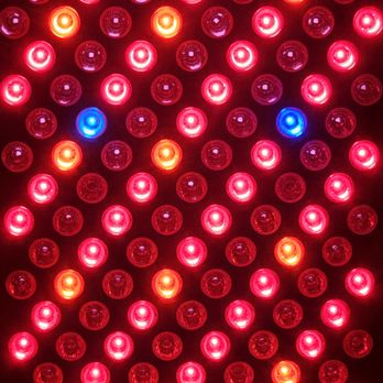 Cold Sweat Therapy - Red Light - Saunas Near Me - Pinellas Park, Florida Cold Sweat Therapy - Red Light - Saunas Near Me - Pinellas Park, Florida