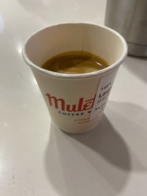 Muletown Coffee Roasters by null