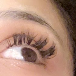 F5lash Studio