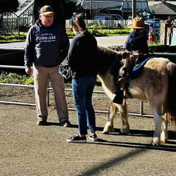 Lemos Farm - Coco the pony - Amusement Parks Near Me - Half Moon Bay, California