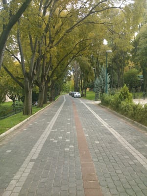 Reşat Oyal Culture Park by null