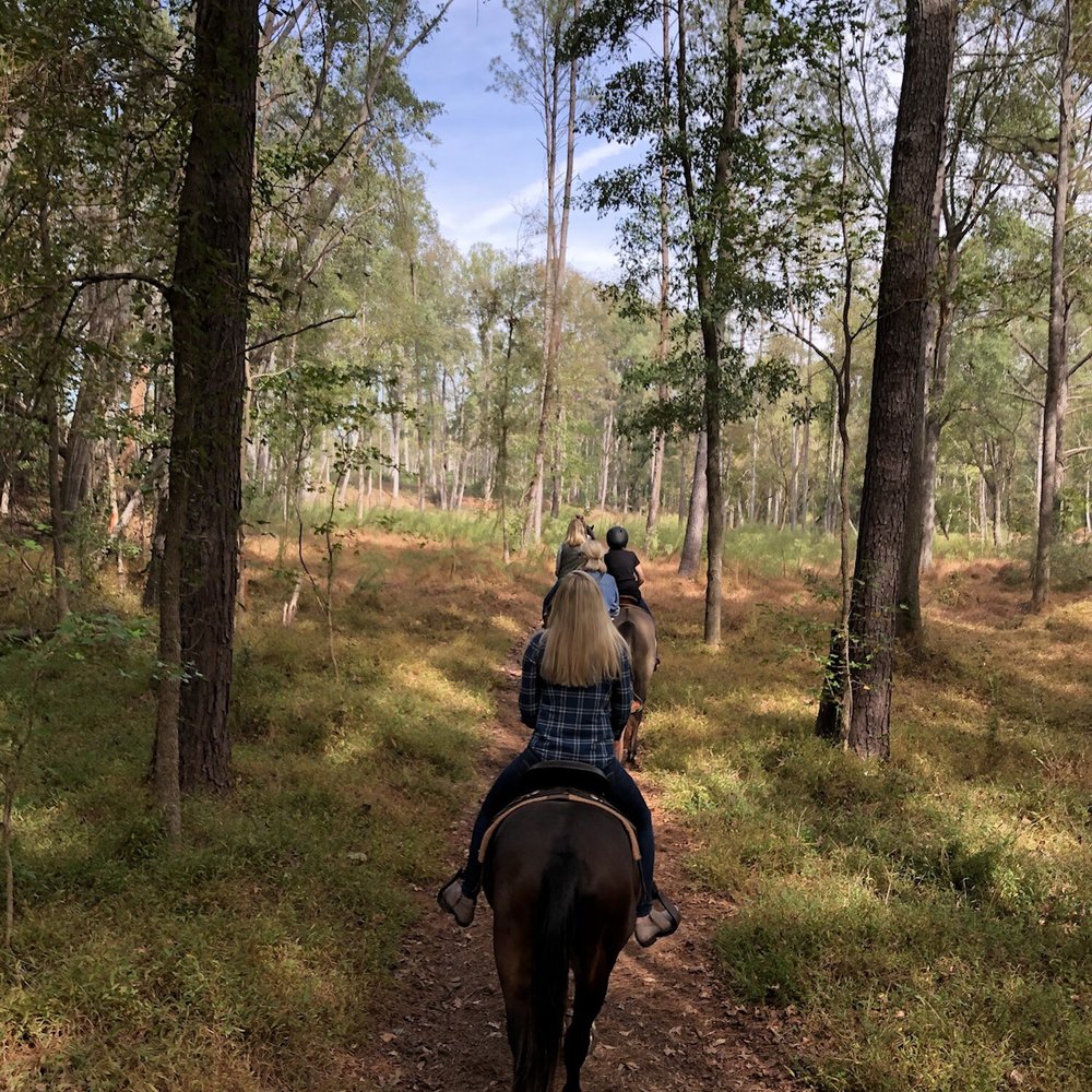 Serenbe Trailriding - Horseback Riding Near Me - Palmetto, Georgia Serenbe Trailriding - Horseback Riding Near Me - Palmetto, Georgia