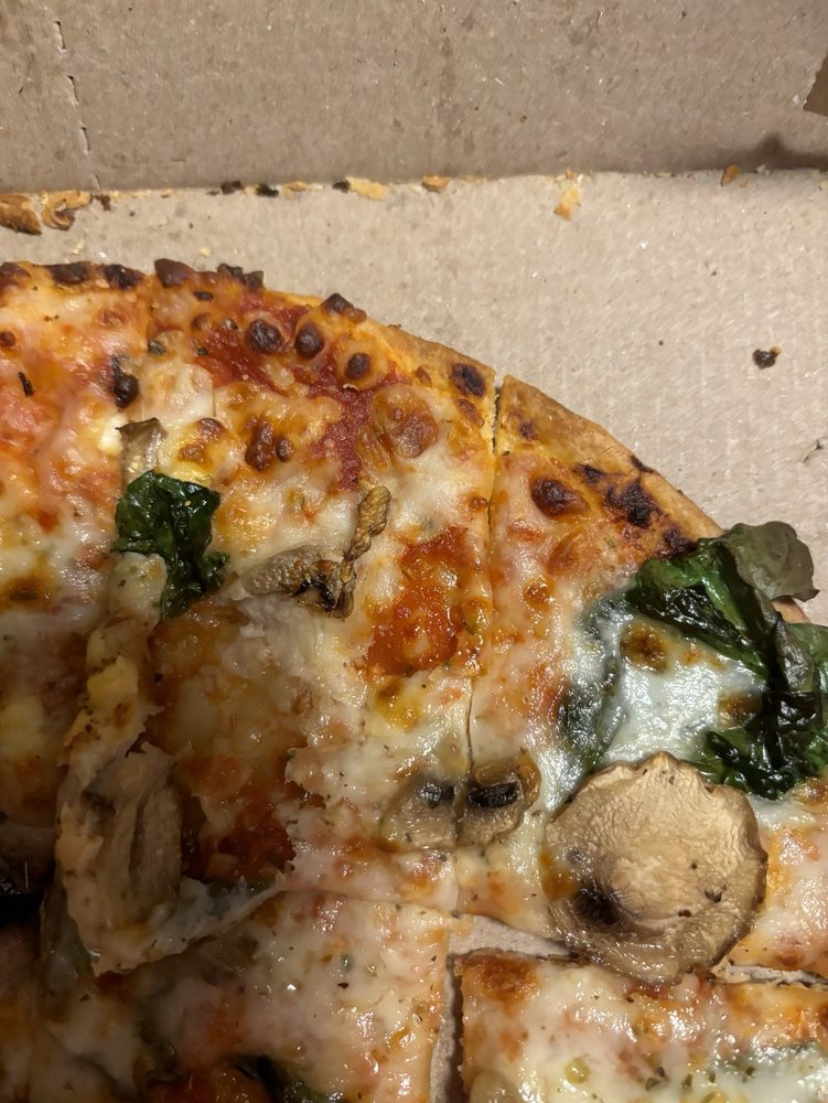 Domino's Pizza Logo