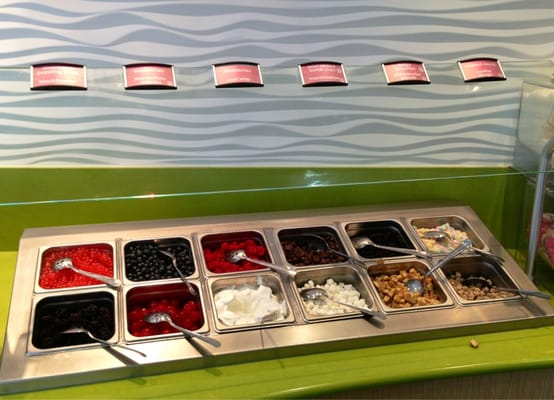 MENCHIE’S FROZEN YOGURT - 190 Photos & 75 Reviews - 3363 Hwy 6 S, Sugar ...
