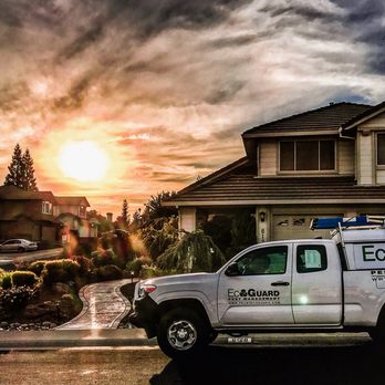 EcoGuard Pest Management - Pest Control Near Me - Folsom, California EcoGuard Pest Management - Pest Control Near Me - Folsom, California