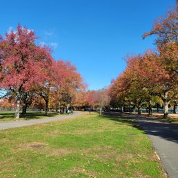 EISENHOWER PARK - Updated January 2026 - 1007 Photos & 261 Reviews