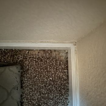 Shepherd Carpet Cleaning - Before - Carpet Cleaning Near Me - Salem, Oregon