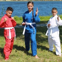 Black Lions Martial Art Supply - Martial Arts Uniforms and Equipment for all ages and sizes