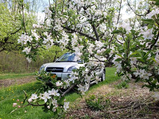 Hurds Family Farm by null