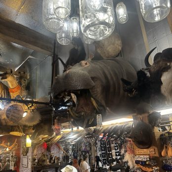 KO Trading - Accessories Near Me - Fort Worth, Texas