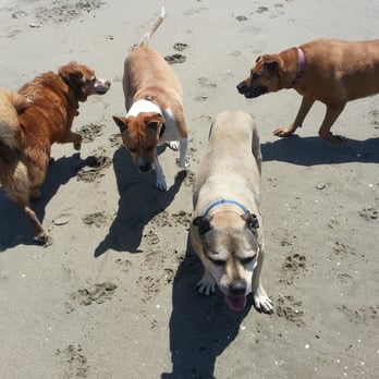 Rio Del Mar State Beach - Beaches Near Me - Aptos, California