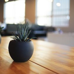 Counseling Services For Wellbeing