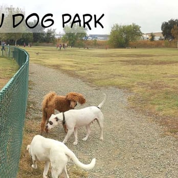 Toad Hollow Dog Park - Meet & greet (i.e. - Everybody sniff each other's "pooper.") - Dog Parks Near Me - Davis, California