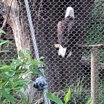 John Ball Zoo - Zoos Near Me - Grand Rapids, Michigan