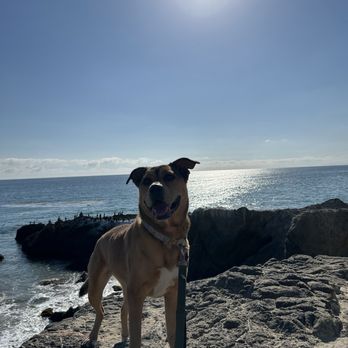 Chill RV - Peaches at Leo Carrillo Beach - RV Rental Near Me Chill RV - Peaches at Leo Carrillo Beach - RV Rental Near Me