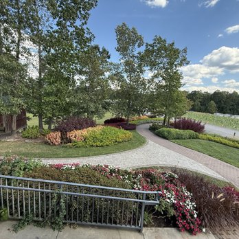 Saudé Creek Vineyards - Ramp for Accessibility - Wineries Near Me - Lanexa, Virginia Saudé Creek Vineyards - Ramp for Accessibility - Wineries Near Me - Lanexa, Virginia