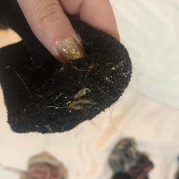 Bro... this is how they returned my sock..... wtf.