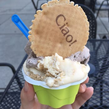 Gelato Dolceria - Tiramisu!! - Desserts Near Me - Haddonfield, New Jersey