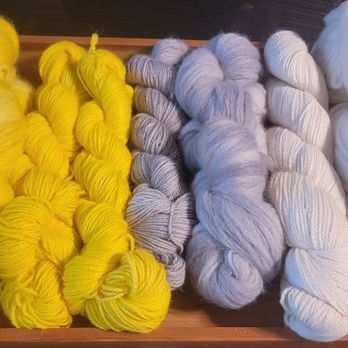 Dyeing Kat Yarn - Custom dye order.... Butter, Baby Kitten, and Cream - Arts & Crafts Near Me Dyeing Kat Yarn - Custom dye order.... Butter, Baby Kitten, and Cream - Arts & Crafts Near Me