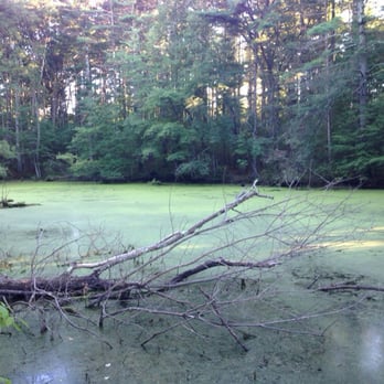 Harold Parker State Forest - Parks Near Me - North Andover, Massachusetts