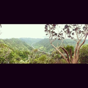 Aiea Loop Trail - Hiking Near Me - Aiea, Hawaii