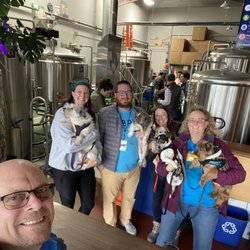Knox Brew Tours - Great times with SBRET dogs and Knox Brew Tours. Cheers!