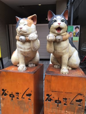 Yanaka Ginza by null